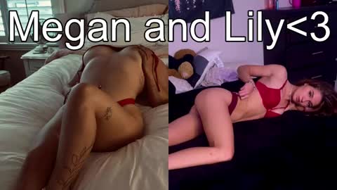 Megan online show from February 2025 07:53:02 AM