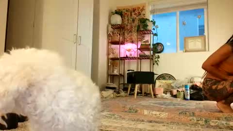 lovelyxmacii online show from May 2026 02:39:01 AM