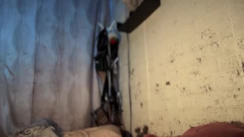 shena can you follow me here and tip me yehawww online show from May 2026 04:37:01 PM
