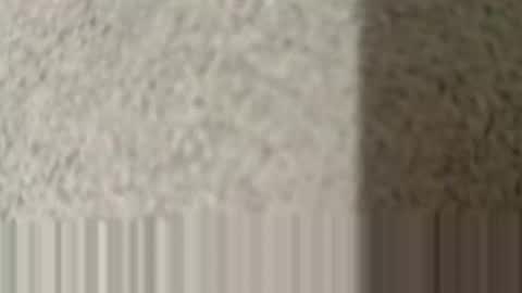 lovepan69 online show from March 2026 02:28:02 AM