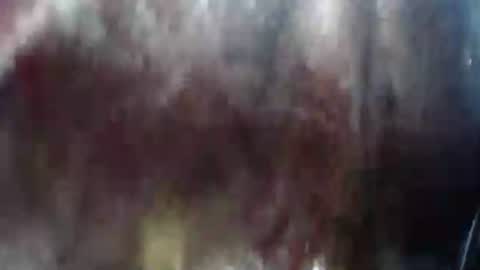 Snapshot of lover_mature2 chatting on February 2025 10:37:01 PM Mature lover2 online show from February 2025 10:37:01 PM