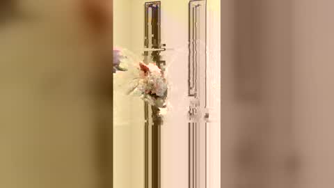 loverboi14209 online show from February 2026 05:16:02 AM