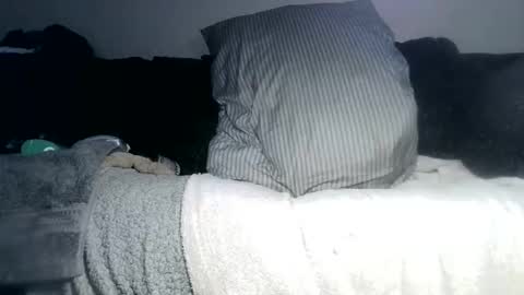 Snapshot of lovestobeused2 chatting on May 2026 03:02:01 AM lovetobeused online show from May 2026 03:02:01 AM