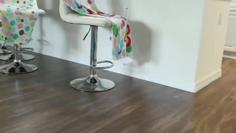 lovingcouple1969 online show from December 2025 01:05:02 PM