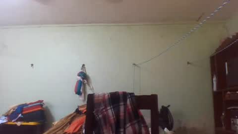 lpmauriciosantamaria online show from July 2026 12:53:01 PM