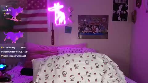 Snapshot of lsdprincess chatting on March 2025 07:41:01 AM Princess  online show from March 2025 07:41:01 AM