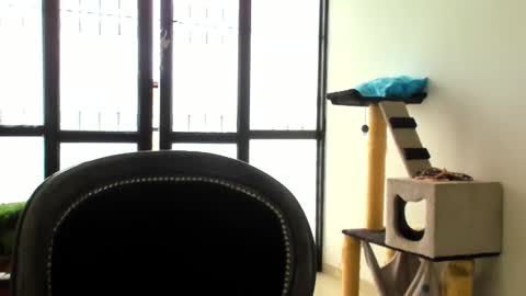 Snapshot of luara__01__lecat_1 chatting on November 2025 05:34:01 PM luara__01__lecat_1 online show from November 2025 05:34:01 PM