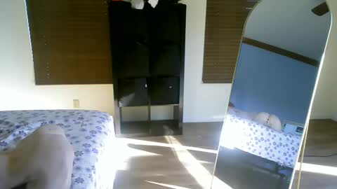 luchamuscles online show from December 2024 10:01:02 PM