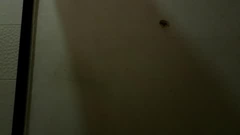Luciana Ramirez  Sofia Collins online show from May 2026 09:42:01 PM