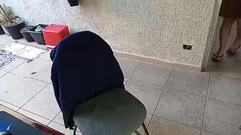 lucifer_curious online show from October 2025 09:49:01 AM