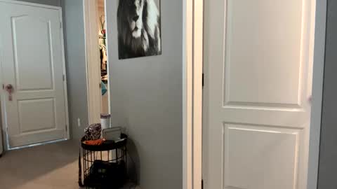 Snapshot of lucious_stace chatting on September 2025 03:47:01 PM lucious_stace online show from September 2025 03:47:01 PM