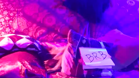 Lucky Eid Azy online show from January 2025 06:52:01 AM