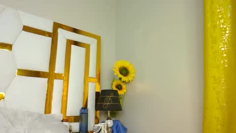 Snapshot of luckyy003 chatting on March 2025 08:33:02 PM brielle online show from March 2025 08:33:02 PM