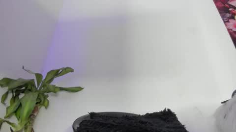 luciana online show from December 2025 02:30:02 AM