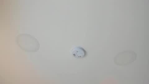 L U I S A online show from September 2025 09:05:02 PM