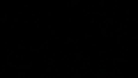 Skaluk online show from April 2026 10:48:01 PM