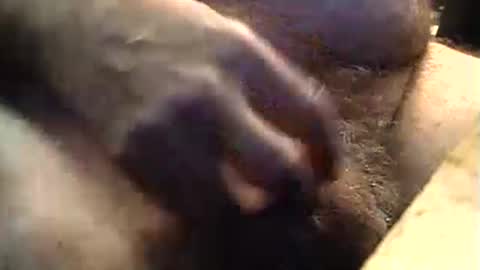 lukestarfckr online show from September 2025 09:20:01 AM