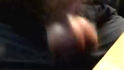 lukestarfckr online show from October 2025 04:53:02 PM