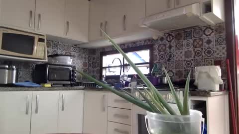 lucifer online show from February 2025 04:05:01 PM