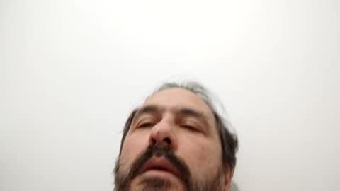 Snapshot of luluberlu042 chatting on January 2025 02:35:02 PM Ludo online show from January 2025 02:35:02 PM