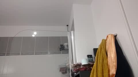 Snapshot of luluberlu042 chatting on October 2025 04:45:02 AM Ludo online show from October 2025 04:45:02 AM