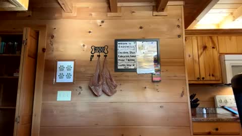 Connie online show from January 2025 03:19:01 PM