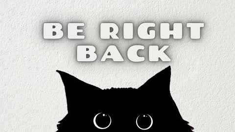 Lucy online show from February 2026 07:20:01 PM