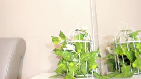 luna_bradley_ online show from April 2026 12:28:02 PM