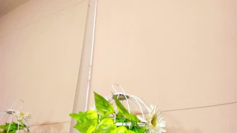luna_bradley_ online show from April 2026 12:41:01 PM