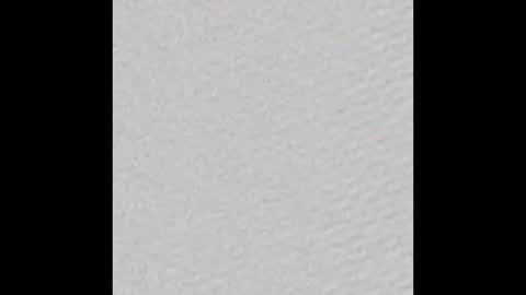 luna online show from November 2025 08:07:01 PM