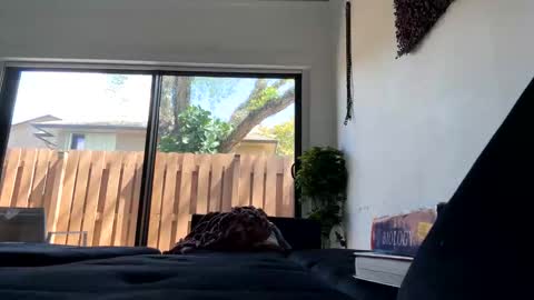 Snapshot of lunaloopzz chatting on March 2026 05:52:01 PM lunaloopzz online show from March 2026 05:52:01 PM