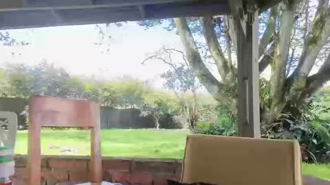 lunaluxe1001 online show from March 2026 02:33:02 PM