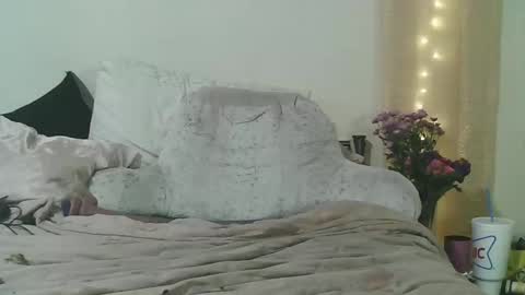 Snapshot of lunanova4 chatting on March 2026 03:23:01 AM lunanova4 online show from March 2026 03:23:01 AM