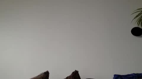 Snapshot of lupine_666 chatting on March 2026 09:06:02 AM Lupine online show from March 2026 09:06:02 AM