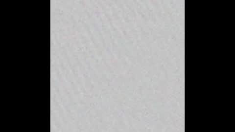 lushlolly online show from December 2024 03:50:02 AM