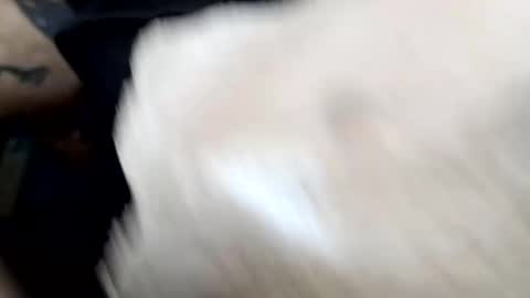 lust_khali online show from February 2026 12:37:01 PM