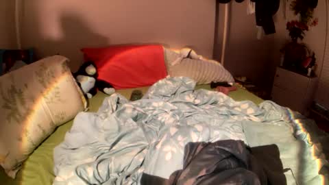 LOLA online show from February 2026 05:03:01 AM