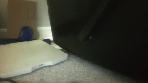 Snapshot of luv269er chatting on November 2025 06:23:01 AM luv269er online show from November 2025 06:23:01 AM