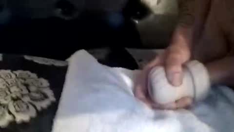 Snapshot of luvbiga554evr chatting on November 2025 04:51:02 PM luvbiga554evr online show from November 2025 04:51:02 PM