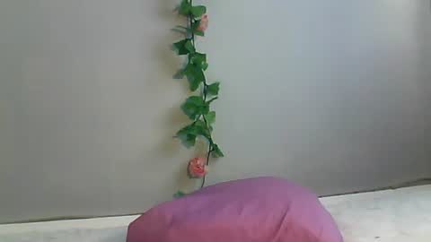 Bee Bee online show from October 2025 02:34:01 AM