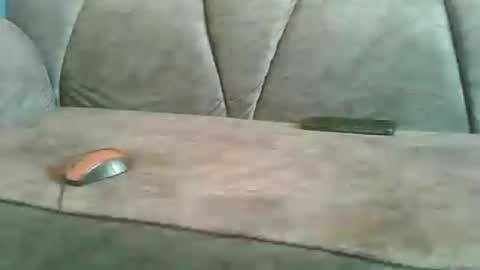 Snapshot of luxemadchen chatting on June 2026 08:28:01 AM luxemadchen online show from June 2026 08:28:01 AM