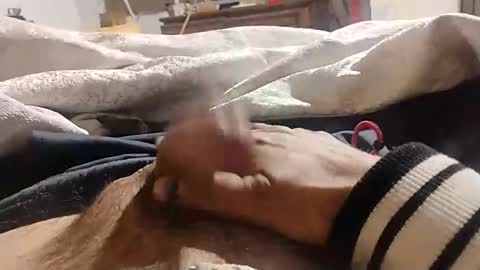 Lvac11 online show from January 2025 09:52:01 AM