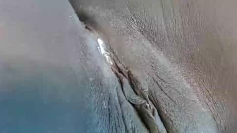 Snapshot of lyiajee chatting on September 2025 02:53:01 PM lyiajee online show from September 2025 02:53:01 PM