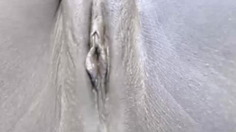 Snapshot of lyiajee chatting on October 2025 07:09:02 AM lyiajee online show from October 2025 07:09:02 AM