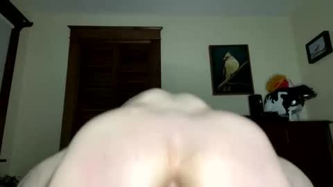 lyle blue online show from February 2026 09:35:02 AM
