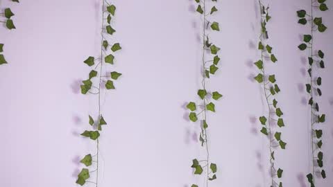 Lyly   online show from September 2025 08:19:01 AM