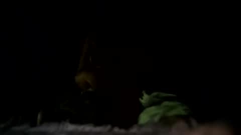 Snapshot of m8437769 chatting on October 2025 07:13:02 PM m8437769 online show from October 2025 07:13:02 PM
