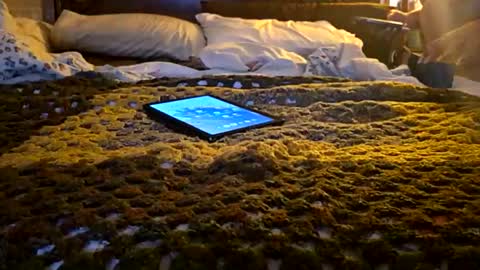 Snapshot of m_a_r_c_u_s1 chatting on April 2026 06:47:02 AM MARCUSNYX online show from April 2026 06:47:02 AM