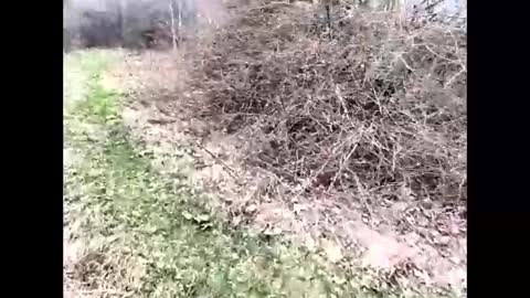 Snapshot of ma747047 chatting on April 2026 11:22:02 AM ma747047 online show from April 2026 11:22:02 AM