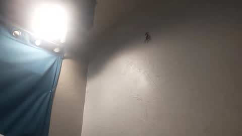 Snapshot of mac11thizzelw chatting on March 2026 02:50:02 PM mac11thizzelw online show from March 2026 02:50:02 PM